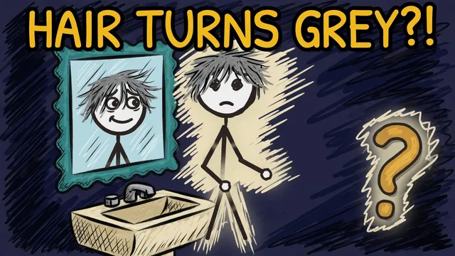 Munchrd: Why does your hair turn grey?
