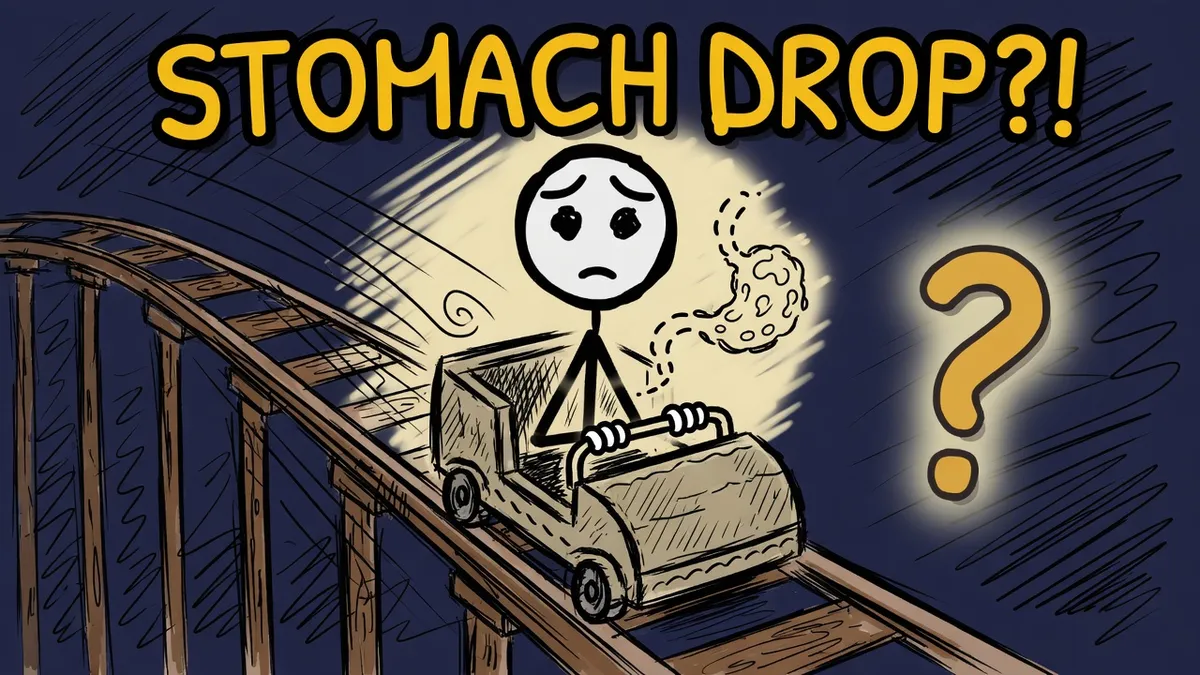 Munchrd illustration for: Why does your stomach drop on a rollercoaster?