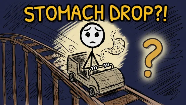 Munchrd: Why does your stomach drop on a rollercoaster?