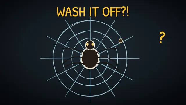 Munchrd: Why don't spiders stick to their own webs?