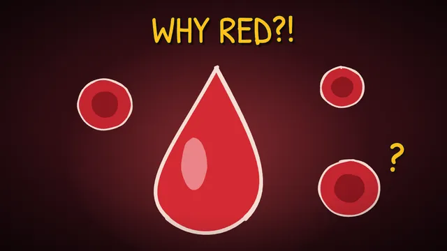Munchrd: Why is blood red?