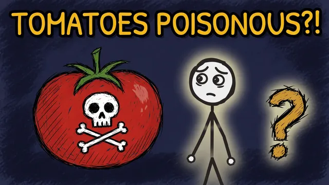 Munchrd: Why were tomatoes thought poisonous?