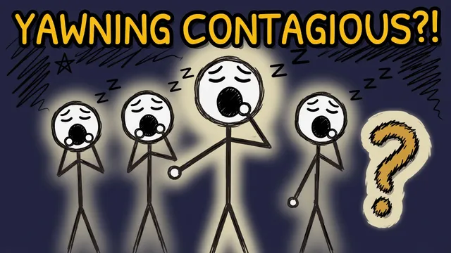 Munchrd: Why is yawning contagious?