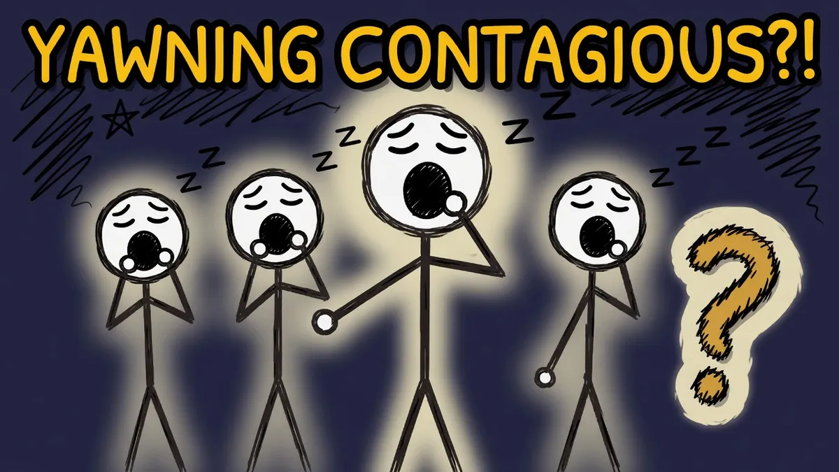 Munchrd illustration for: Why is yawning contagious?